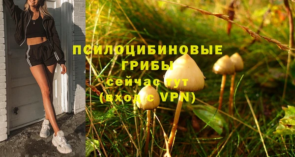 таблы Кукмор