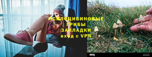 каннабис Куйбышев