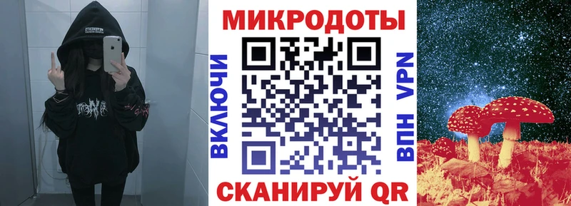 Купить закладки  Ильский  Галлюциногенные грибы мицелий 